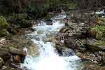 Le torrent du Gleyzin