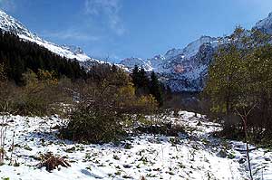 Le Vallon des Frices