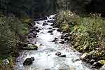 Le Torrent du Bens